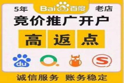 百度推广排名解析：某知名品牌成功上位的秘诀